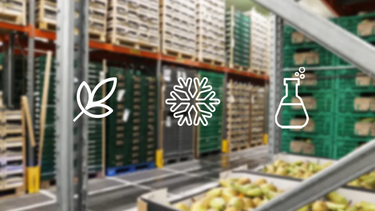 sector logistico murcia